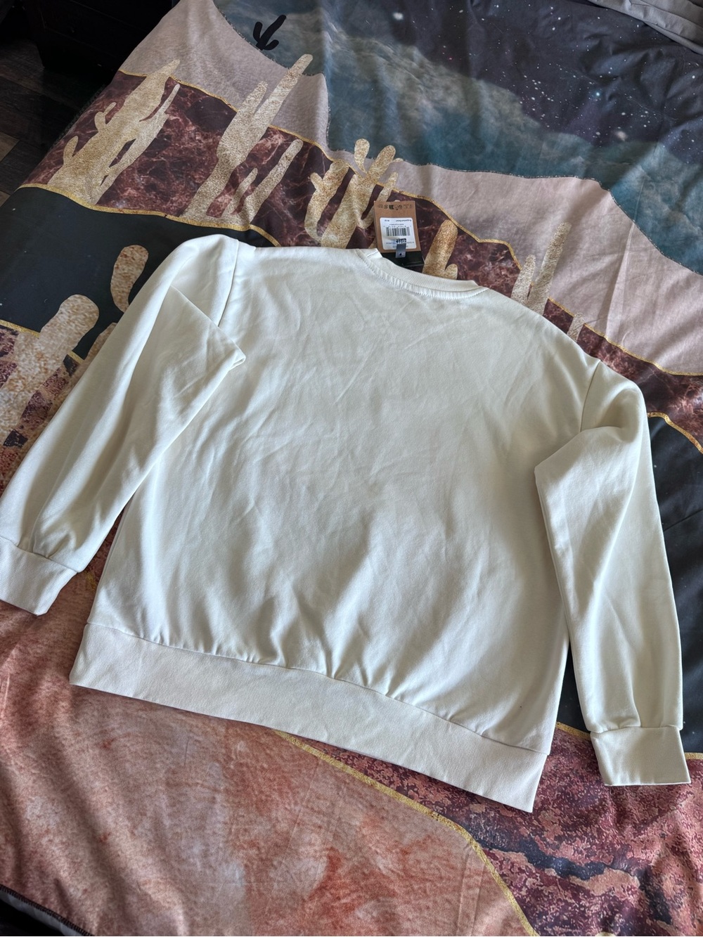 The North Face NWT Women's Evolution Simple Dome Oversized Crew Sweatshirt - Picture 2 of 11